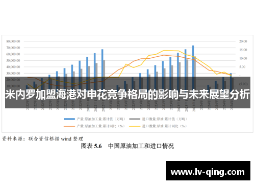 米内罗加盟海港对申花竞争格局的影响与未来展望分析